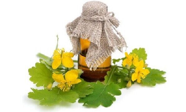 olio di celidonia per i funghi delle unghie